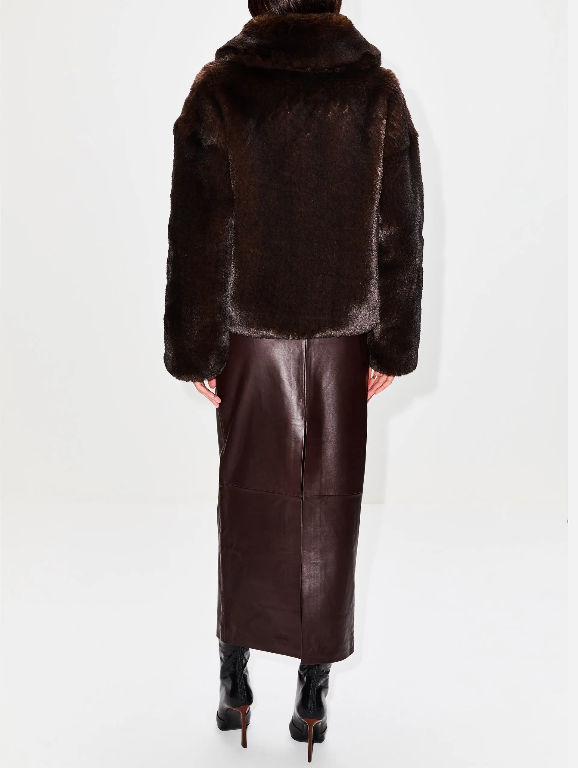 Daniel Coat