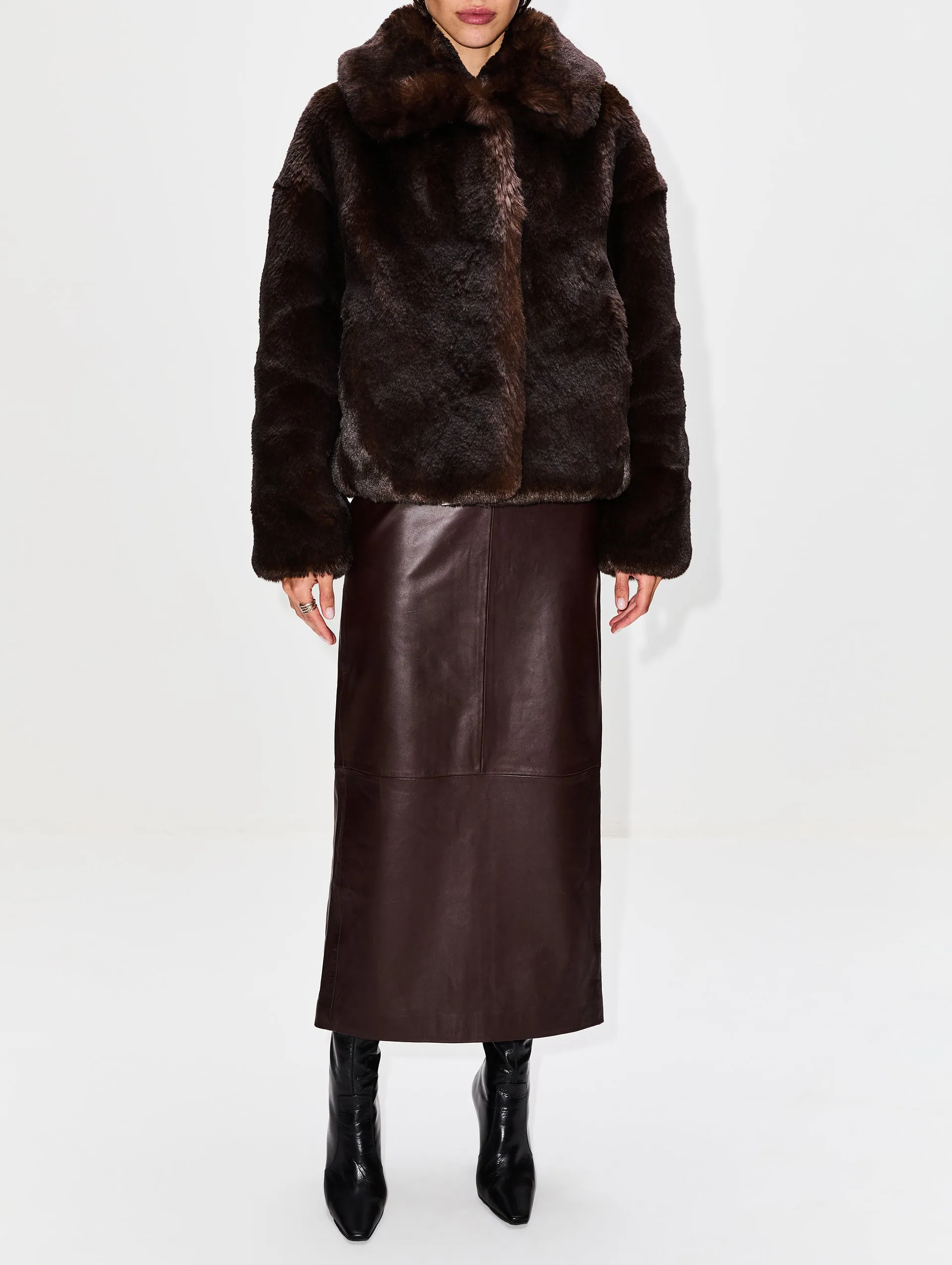 Daniel Coat