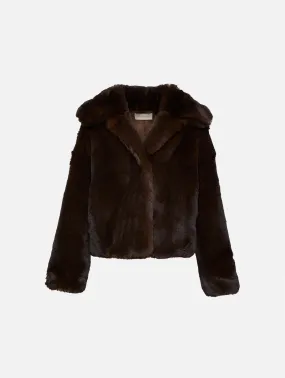 Daniel Coat
