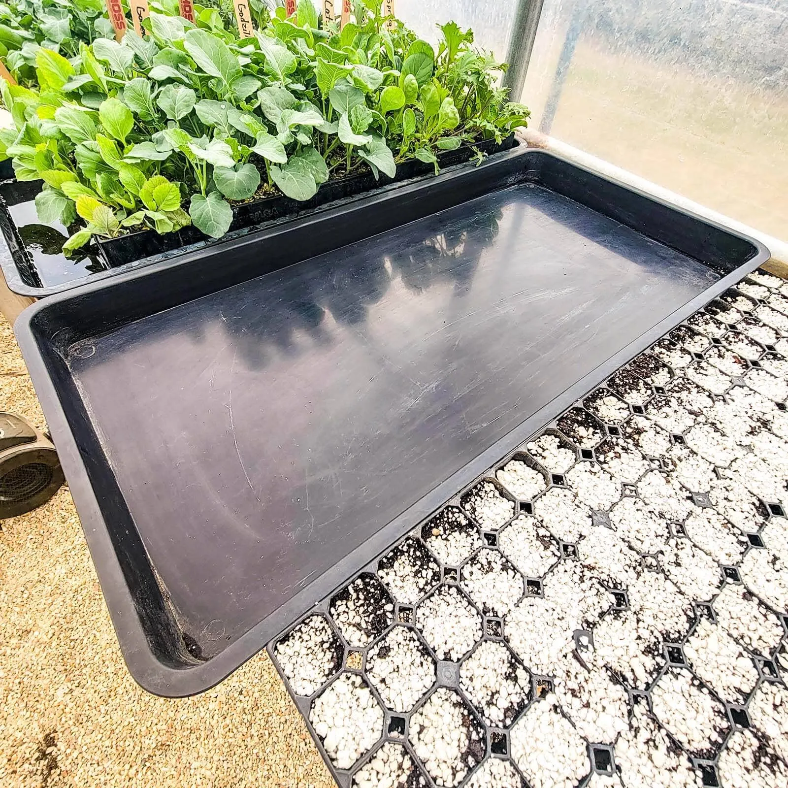 Heavy-Duty Bottom Trays
