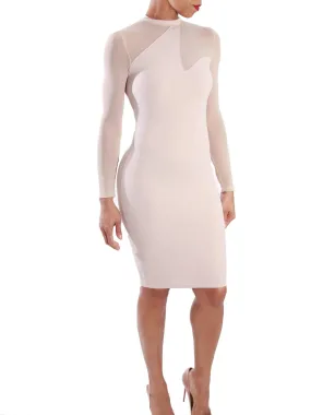 Mesh Is More | Bodycon Dress