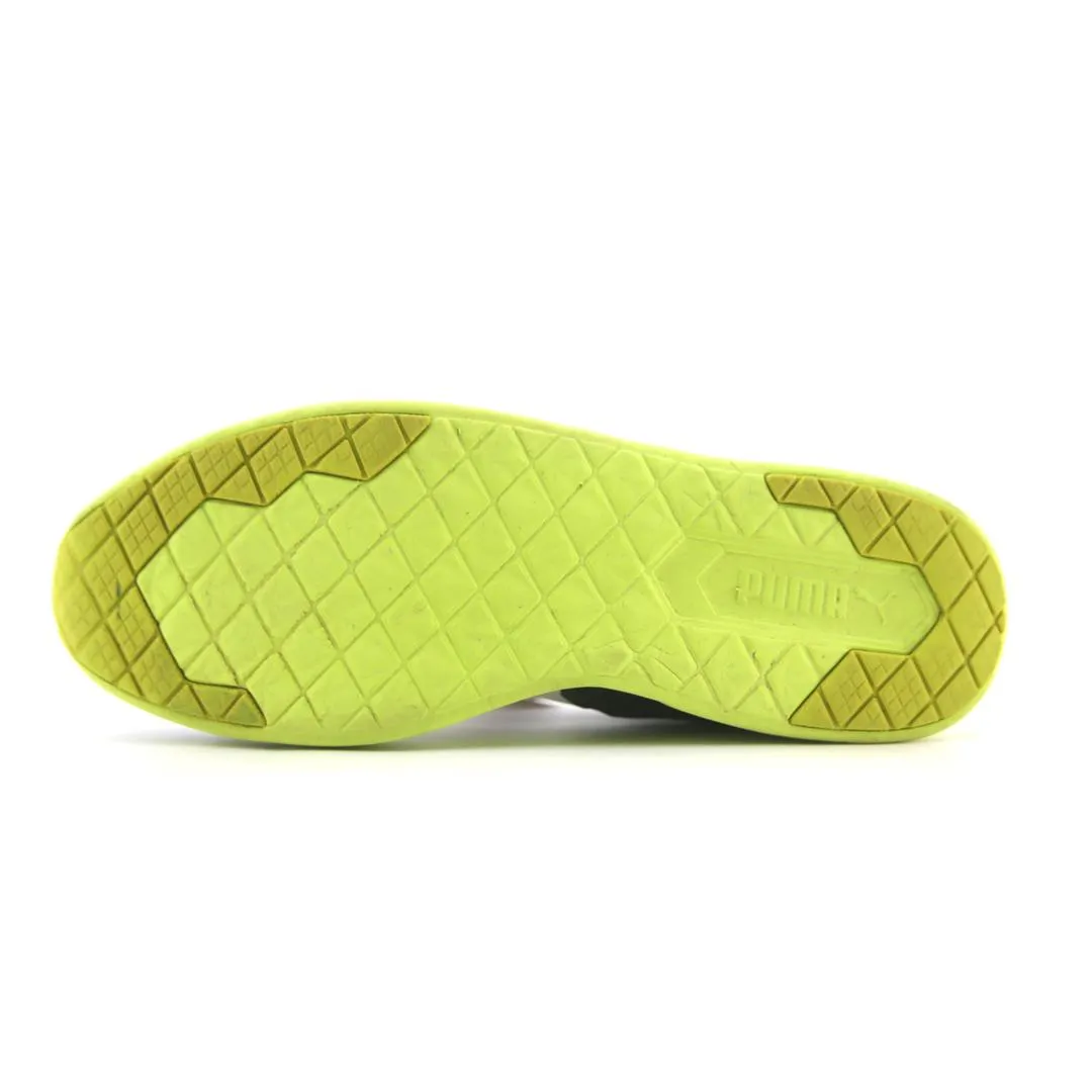 PUMA EVO LOW-TOP
